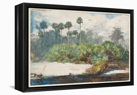 In a Florida Jungle (W/C over Graphite on Paper)-Winslow Homer-Framed Premier Image Canvas