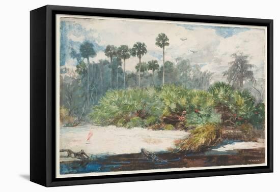 In a Florida Jungle (W/C over Graphite on Paper)-Winslow Homer-Framed Premier Image Canvas