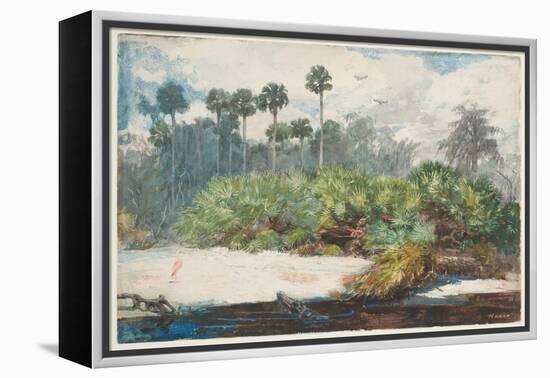 In a Florida Jungle (W/C over Graphite on Paper)-Winslow Homer-Framed Premier Image Canvas