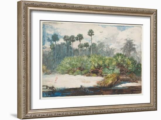 In a Florida Jungle (W/C over Graphite on Paper)-Winslow Homer-Framed Giclee Print