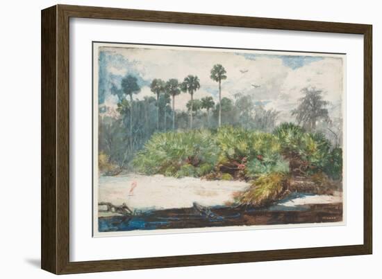 In a Florida Jungle (W/C over Graphite on Paper)-Winslow Homer-Framed Giclee Print