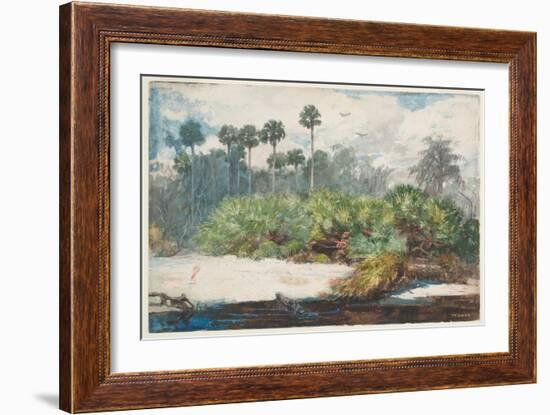 In a Florida Jungle (W/C over Graphite on Paper)-Winslow Homer-Framed Giclee Print