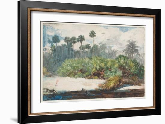 In a Florida Jungle (W/C over Graphite on Paper)-Winslow Homer-Framed Giclee Print