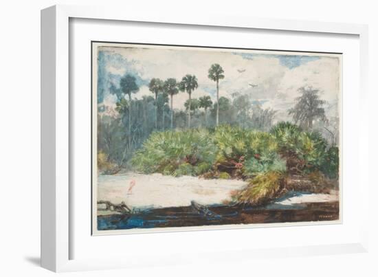 In a Florida Jungle (W/C over Graphite on Paper)-Winslow Homer-Framed Giclee Print