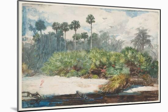 In a Florida Jungle (W/C over Graphite on Paper)-Winslow Homer-Mounted Giclee Print