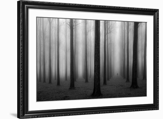 In a Fog-Jochen Bongaerts-Framed Art Print