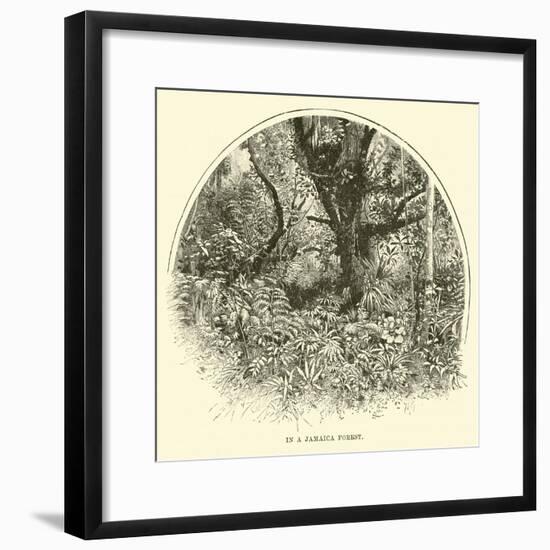 In a Jamaica Forest-null-Framed Giclee Print