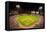 In a night game and a light rain mist, the Florida Marlins beat the 2006 World Series Champion b...-null-Framed Premier Image Canvas