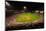 In a night game and a light rain mist, the Florida Marlins beat the 2006 World Series Champion b...-null-Mounted Photographic Print
