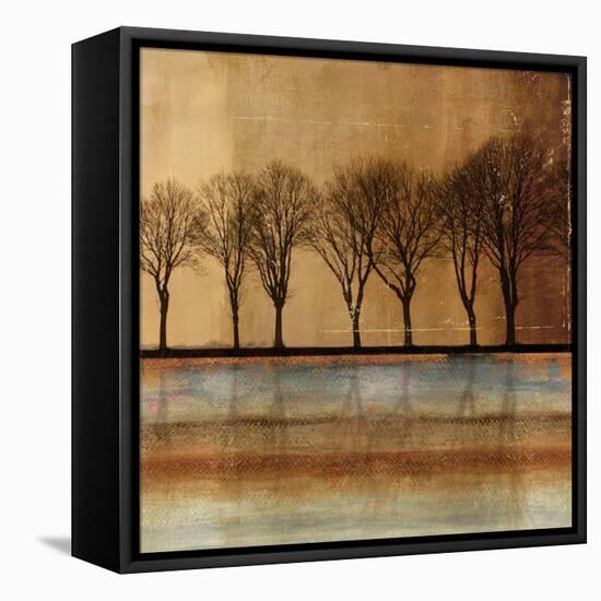 In a Row-Andrew Michaels-Framed Stretched Canvas