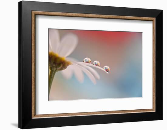 In a row-Heidi Westum-Framed Photographic Print