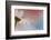 In a row-Heidi Westum-Framed Photographic Print