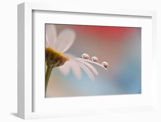 In a row-Heidi Westum-Framed Photographic Print