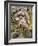 In a Shoreham Garden-Samuel Palmer-Framed Giclee Print