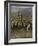 In a Stampede-Frederic Sackrider Remington-Framed Giclee Print