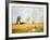 In a Summer Meadow-Claude Monet-Framed Premium Giclee Print