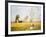 In a Summer Meadow-Claude Monet-Framed Premium Giclee Print