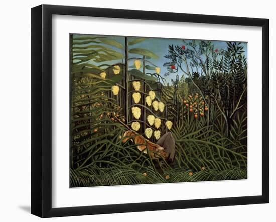 In a Tropical Forest. Struggle Between Tiger and Bull, 1908-1909-Henri Rousseau-Framed Giclee Print