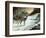 In All Its Glory-Ruane Manning-Framed Art Print