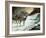 In All Its Glory-Ruane Manning-Framed Art Print