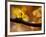 In Autumn 2-Ursula Abresch-Framed Photographic Print