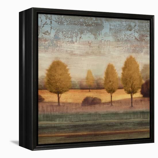 In Awe I-Gregory Williams-Framed Stretched Canvas