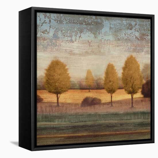 In Awe I-Gregory Williams-Framed Stretched Canvas