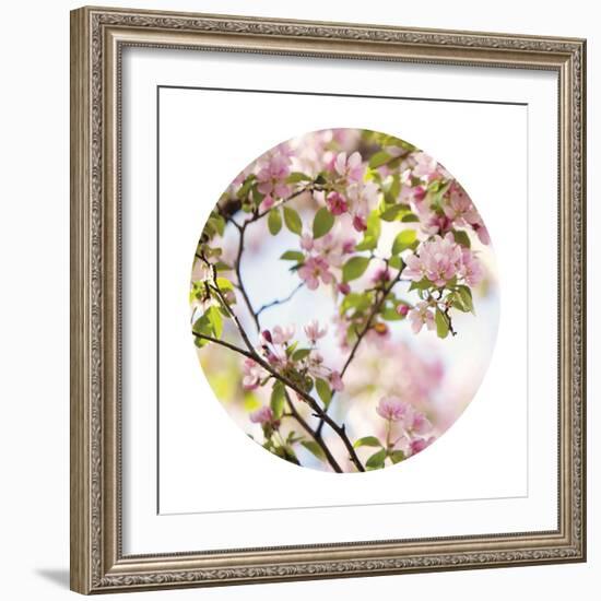 In Bloom - Sphere-Irene Suchocki-Framed Giclee Print