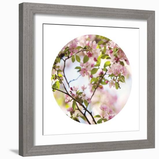 In Bloom - Sphere-Irene Suchocki-Framed Giclee Print