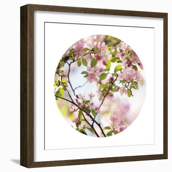 In Bloom - Sphere-Irene Suchocki-Framed Giclee Print