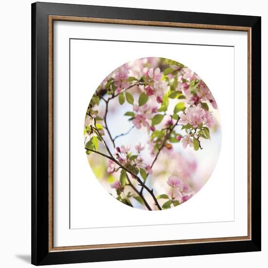 In Bloom - Sphere-Irene Suchocki-Framed Giclee Print