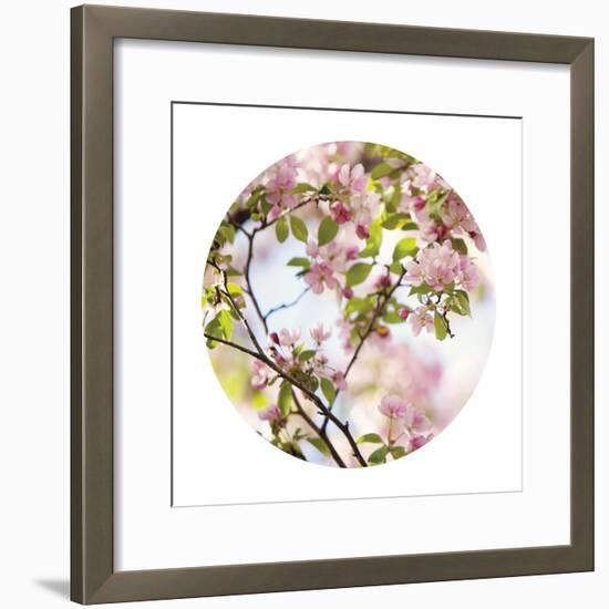 In Bloom - Sphere-Irene Suchocki-Framed Giclee Print