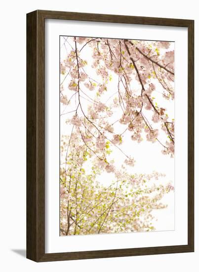 In Bloom XIX-Karyn Millet-Framed Photographic Print