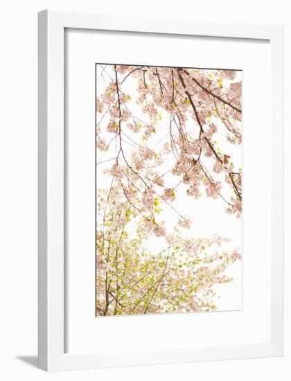 In Bloom XIX-Karyn Millet-Framed Photographic Print