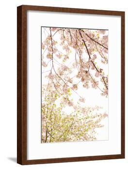 In Bloom XIX-Karyn Millet-Framed Photographic Print