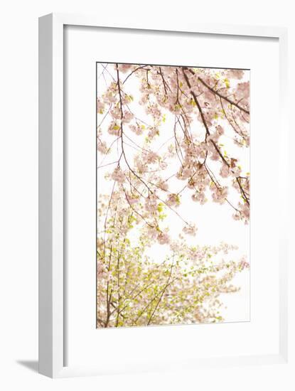 In Bloom XIX-Karyn Millet-Framed Photographic Print