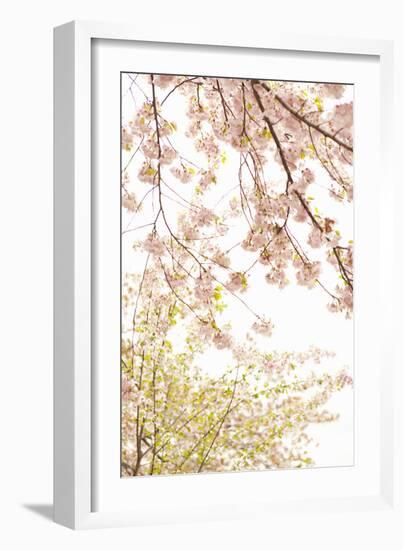 In Bloom XIX-Karyn Millet-Framed Photographic Print