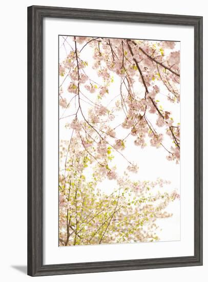 In Bloom XIX-Karyn Millet-Framed Photographic Print