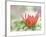 In Bloom-Don Paulson-Framed Giclee Print