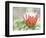 In Bloom-Don Paulson-Framed Giclee Print