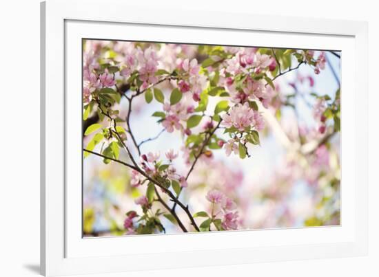 In Bloom-Irene Suchocki-Framed Giclee Print