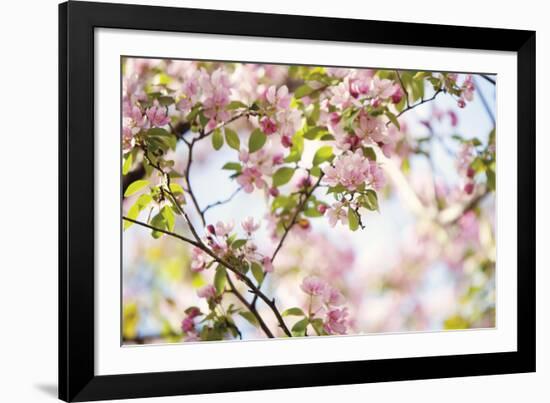 In Bloom-Irene Suchocki-Framed Giclee Print