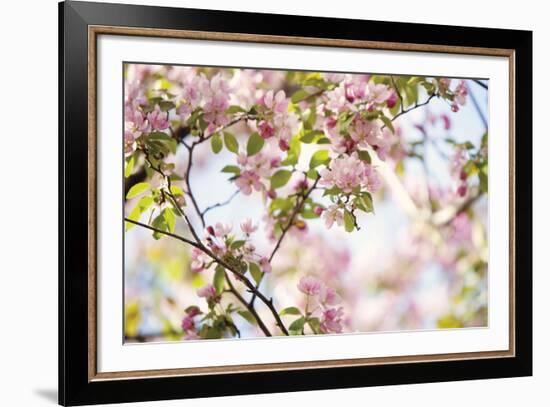 In Bloom-Irene Suchocki-Framed Giclee Print