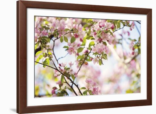 In Bloom-Irene Suchocki-Framed Giclee Print