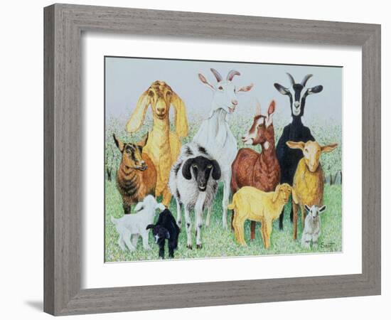 In Clover-Pat Scott-Framed Giclee Print