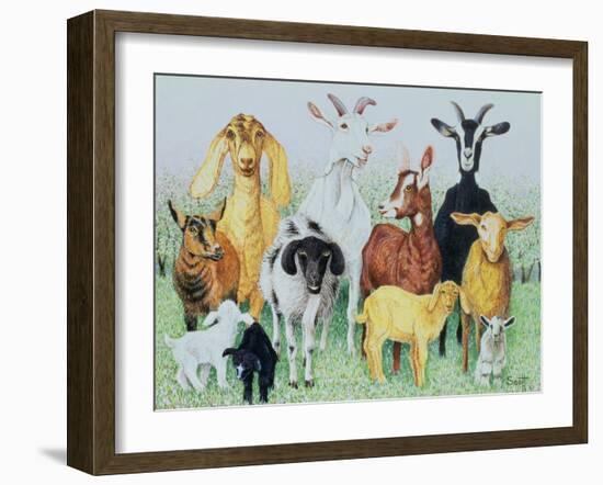 In Clover-Pat Scott-Framed Giclee Print