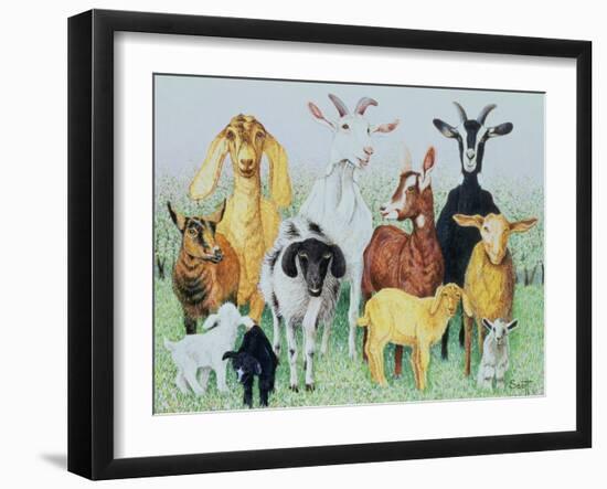 In Clover-Pat Scott-Framed Giclee Print