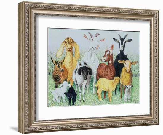 In Clover-Pat Scott-Framed Giclee Print