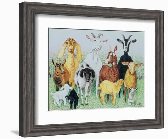 In Clover-Pat Scott-Framed Giclee Print