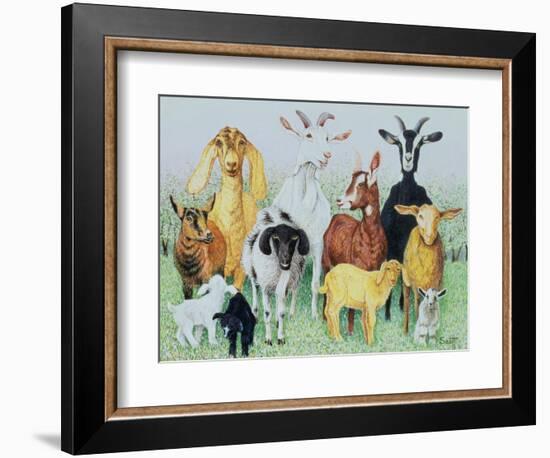 In Clover-Pat Scott-Framed Giclee Print